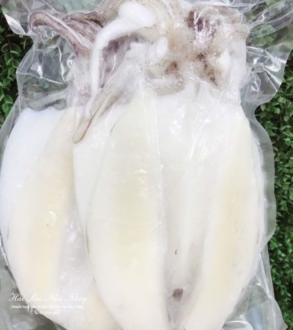 MỰC LÁ MỘT NẮNG
